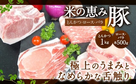 米の恵み豚(とんかつ・ロース・バラ)2kg セット 豚肉