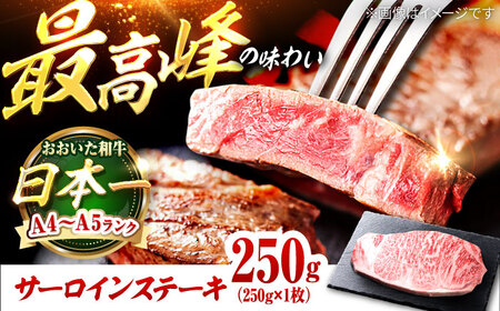 おおいた和牛 サーロインステーキ 250g (250g×1枚) 日田市 / 株式会社OTOGINO[AREF052]