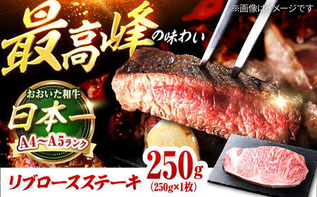 おおいた和牛 リブロースステーキ 250g (250g×1枚) 日田市 / 株式会社OTOGINO[AREF053]