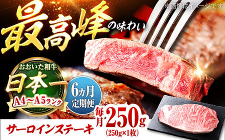 [全6回定期便]おおいた和牛 サーロインステーキ 250g (250g×1枚) 日田市 / 株式会社OTOGINO[AREF135]