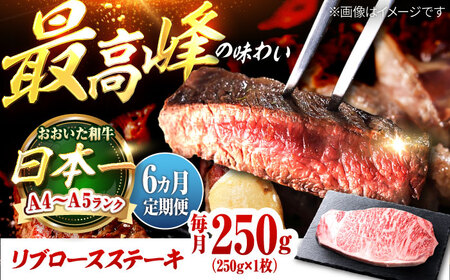 [全6回定期便]おおいた和牛 リブロースステーキ 250g(250g×1枚) 日田市 / 株式会社OTOGINO[AREF137]