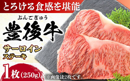 おおいた豊後牛 サーロインステーキ 250g (250g×1枚) 日田市 / 株式会社MEAT PLUS 肉 牛肉 和牛[AREI006]