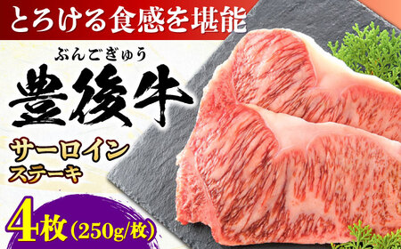 おおいた豊後牛 サーロインステーキ 1kg (250g×4枚) 日田市 / 株式会社MEAT PLUS　肉 牛肉 和牛[AREI008]