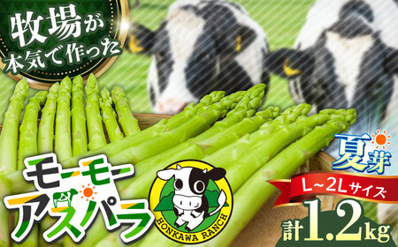 [先行予約・25年6月以降発送]モーモーアスパラ夏芽 2L・L 1.2kg 迷ったらこれ!ちょうどいい太さ2種セット 1.2kg /アスパラ アスパラ アスパラ アスパラ アスパラ アスパラ/ 日田市 / 有限会社本川牧場[ARAI035]