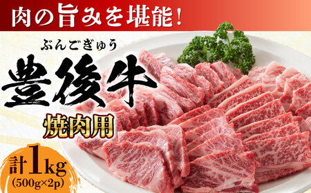 おおいた豊後牛 焼肉用 1kg(500g×2P) 日田市 / 株式会社MEAT PLUS 焼肉 焼肉 焼肉 焼肉 焼肉 焼肉[AREI022]