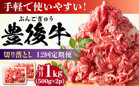 [全12回定期便][ 小分けで便利!]おおいた豊後牛 牛肉 切り落とし 1kg (500g×2) 牛肉切り落とし 豊後牛[AREI046]