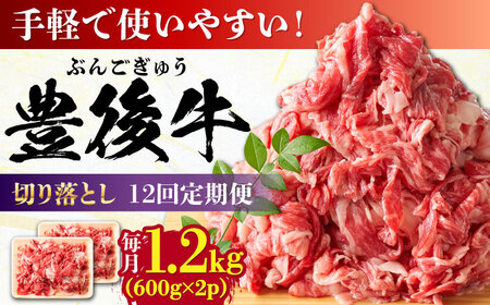 【全12回定期便】【大容量パック！】 おおいた豊後牛 牛肉 切り落とし 1.2kg (600g×2)  牛肉切り落とし 豊後牛[AREI049]