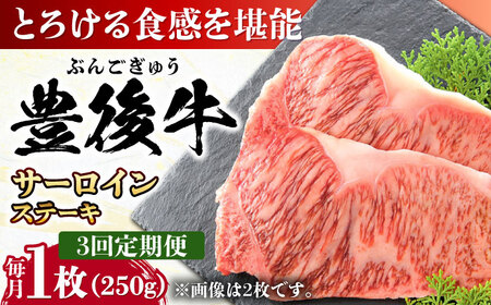 [全3回定期便]おおいた豊後牛 サーロインステーキ 250g (250g×1枚) 日田市 / 株式会社MEAT PLUS 肉 牛肉 和牛[AREI053]