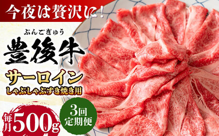 yS3ցzyIʁzL㋍ T[C ԂԂĂp 500g cs јa T[C  L㋍ Ԃ Ă[AREI083]