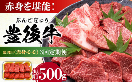 [全3回定期便]おおいた豊後牛 赤身モモ 焼肉用 500g 日田市 / 株式会社MEAT PLUS 牛 うし 黒毛和牛 和牛 豊後牛[AREI092]