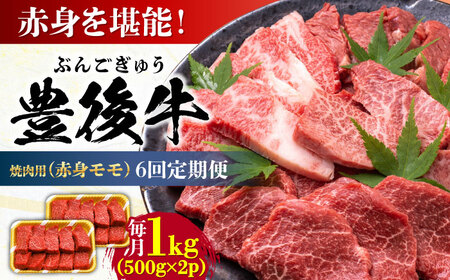 【全6回定期便】おおいた豊後牛 赤身モモ 焼肉用 1kg(500g×2P)  赤身 モモ 焼肉  冷凍 豊後牛 BBQ [AREI096]