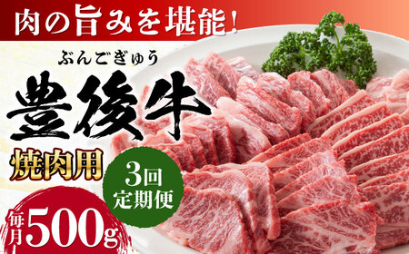 [全3回定期便]おおいた豊後牛 焼肉用 500g / 焼肉 焼肉 焼肉 焼肉 焼肉 焼肉 / 日田市 / 株式会社MEAT PLUS[AREI098]