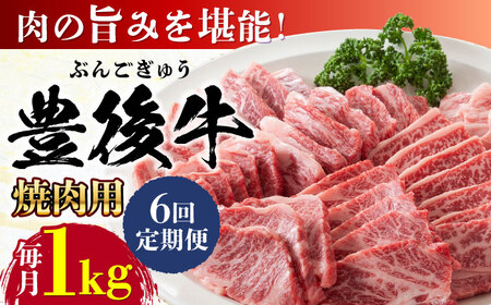yS6ցzL㋍ ēp 1kg(500g×2P) Ԑg  ē  Ⓚ L㋍ BBQ [AREI102]