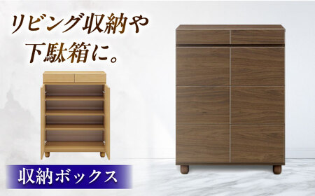 リビング収納 ゴールドDK75L 日田市 / SATORUデザインオフィス 家具 収納 下駄箱[ARDV002]