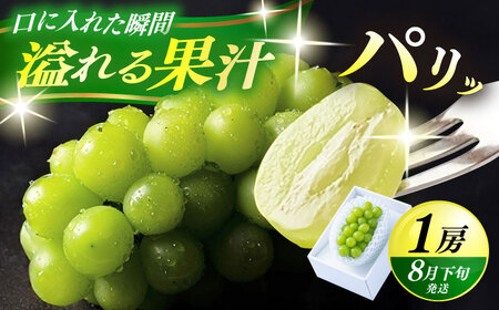 【先行予約・25年8月以降発送】日田産シャインマスカット1房(約500g) / シャインマスカット シャインマスカット シャインマスカット シャインマスカット シャインマスカット シャインマスカット  / 日田市 / 南国フルーツ株式会社[ARET004]