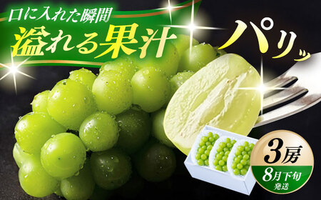 【期間限定】日田産シャインマスカット3房(約1.5kg) ブドウ 葡萄 フルーツ 果物  シャインマスカット[ARET006]
