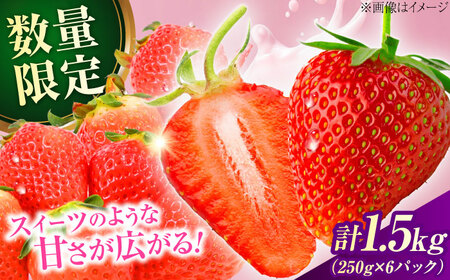 ys\E26N2ȍ~z@啪Yx[c(250g×6pbN) 啪 cs   [ARET011]