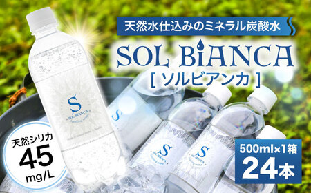 シリカ炭酸水 ソルビアンカ 500ml×24本/ 炭酸水 炭酸水 炭酸水 炭酸水 炭酸水 炭酸水/ 日田市 / 株式会社OTOGINO[AREF097]