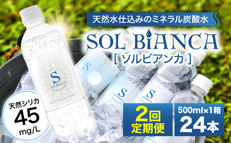 [全2回定期便]シリカ炭酸水 ソルビアンカ 500ml×24本 / 炭酸水 炭酸水 炭酸水 炭酸水 炭酸水 炭酸水/ 日田市 / 株式会社OTOGINO[AREF101]