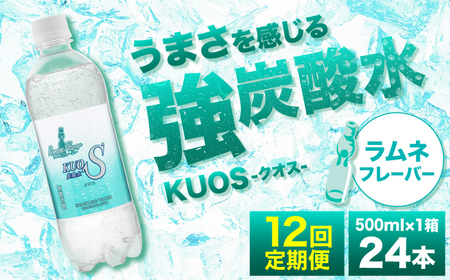 yS12ցzY_NIX lt[o[  500ml×24{ Y_ Y_ l[AREF157]