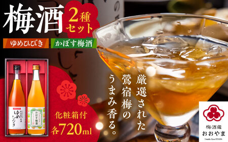 梅酒蔵おおやま 梅酒セット(梅酒・かぼす梅酒) 各720ml / 梅酒 本格梅酒 梅 / 日田市 / 株式会社おおやま夢工房[ARCW013]