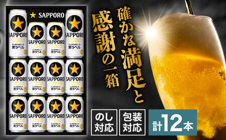 [お中元対象]サッポロ生ビール黒ラベル ギフトセット 350ml×10本、500ml×2本 / ビール ビール ビール ビール ビール ビール / 日田市 / 深見酒舗 ビール お中元 お歳暮[AREY008]
