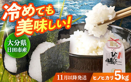 [先行予約・25年11月以降発送]令和7年産 大分県産 ヒノヒカリ 5kg 白米 白米 白米 白米 白米 白米 日田市 / JAおおいた日田グリーンセンター [ARDX004]
