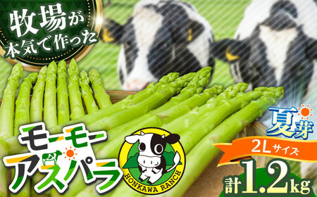 [先行予約]モーモーアスパラ 夏芽 2L 1.2kg(6月上旬から順次発送) 酪農 牧場 こだわり アスパラガス おすすめ 大分県 日田市 / 株式会社本川牧場[ARAI039]