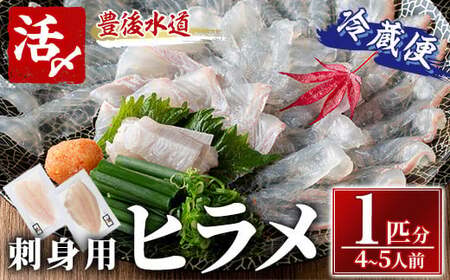 ヒラメ 刺身用 ブロック 冷蔵(1匹分・4-5人前) ヒラメ ひらめ 鮃 神経締め 獲れたて 鮮魚 ブロック 刺身 冷蔵 海の直売所 大分県 佐伯市[AS135][海べ]