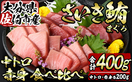 佐伯市産本マグロ 中トロ・赤身 食べ比べ(合計約400g・中トロ200g・赤身200g) 中とろ あかみ セット マグロ 鮪 刺身 さしみ 魚 海鮮 冷凍 大分県 佐伯市【DH258】【(株)ネクサ】