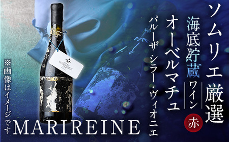 海底貯蔵ワイン 赤 MARIREINE オーベルマチュ パルーザ シラー ヴィオニエ2021(750ml・1本)フランスワイン ワイン 赤ワイン 酒 パーティー マリレーヌ 海底酒 熟成 大分県 佐伯市【FP024】【フルタ酒店】