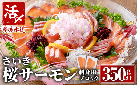 さいき 桜 サーモン 刺身用 ブロック(350g以上)サクラ鱒 神経締め 鮮魚 ブロック 刺身 養殖 海の直売所 大分県 佐伯市【AS143】【海べ (株)】