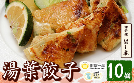 衝撃一品！御料理はし本 湯葉餃子 (計10個) 餃子 ギョーザ 豚肉 牛肉 湯葉 おつまみ おかず お惣菜 冷凍 大分県 佐伯市【AB224】【柳井商店】