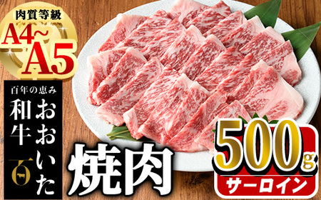 おおいた和牛 サーロイン 焼肉 (計500g) 国産 牛肉 肉 霜降り A4 A5 黒毛和牛 和牛 豊後牛 ブランド牛 冷凍[HE04][(株)吉野]