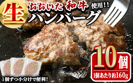 おおいた和牛 生 ハンバーグ (計1.6kg・160g×10個) 牛肉 肉 生ハンバーグ 惣菜 おかず 黒毛和牛 和牛 ブランド牛 冷凍[HE08][(株)吉野]