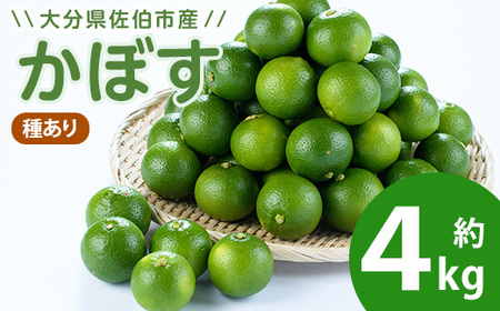 ڂ4kg(킠) t[c ʕ k ̉w悢 Ԍ 啪 s yEN15zỷw悢z