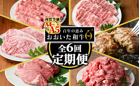 [定期便・全6回(連続)]おおいた和牛 定期便 (総量4.33kg) 国産 牛肉 肉 霜降り A4 A5 黒毛和牛 ステーキ すき焼き しゃぶしゃぶ 焼肉 和牛 豊後牛 ブランド牛 冷凍 ハンバーグ[HE12][(株)吉野]