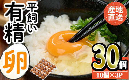 産直・平飼い有精卵 (計30個) 卵 玉子 卵かけご飯 玉子焼き 平飼い 鶏 鶏卵 養鶏場直送 朝採れ 新鮮 大分県 佐伯市 [HM01][佐伯養鶏場]