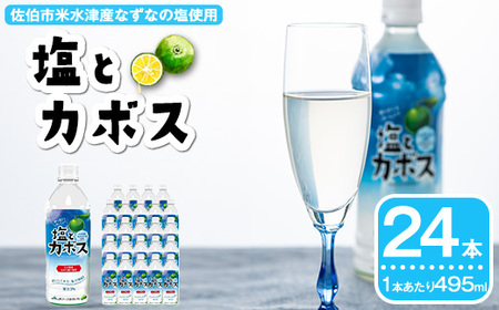 ƃJ{X(24{) ڂ hN W[X   ⋋ ȂȂ̉ 啪Y Yi 啪 s h 퉷 퉷ۑyDT16zyS_ƋgA啪{z