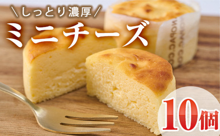 濃厚ミニチーズケーキ (計10個) チーズケーキ チーズ スイーツ 冷凍 お菓子 おやつ 焼き菓子 お取り寄せ 大分県 佐伯市[AJ87][(有)ケーキ大使館クアンカ・ドーネ]