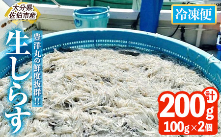 Lmۂ̑NxQI 炷Zbg (v200gE100g×2) Ⓚ 炷 炷 Ԃ    ͂ u `[n pX^ T_ Y 啪 pbN  ֗ 啪 syHK