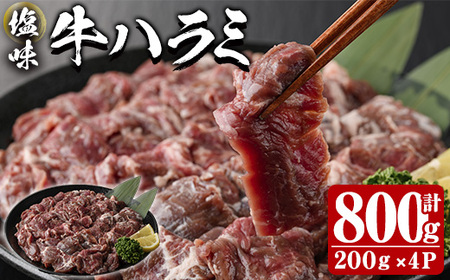  n~ (v800g)    n~ ͂ t ē  BBQ Ⓚ 啪 syDH298zy()lNTz