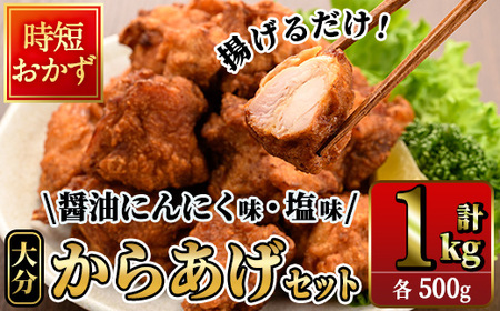 時短おかず 揚げるだけ 大分 からあげ 醤油にんにく味・塩からあげ セット (合計1kg・各500g) 国産 鶏むね肉 鶏もも肉 肉 唐揚げ 名物 セット ご当地グルメ 食べ比べ 冷凍 惣菜 お弁当 小分け 簡単 時短 大分県 佐伯市[DH309][ネクサ]