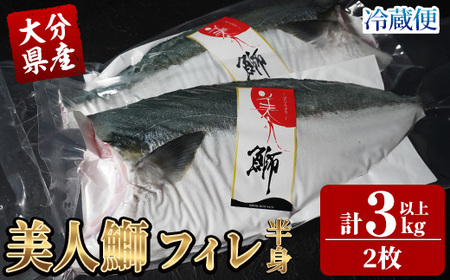 s\tI2025N11蔭Jn\聄啪Y l tB (2E11.5kgȏ)  u tB[ g N ① {B Y 啪 syGO018zyz