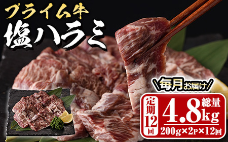 ցES12 (̔)vC n~(4.8kg)     n~ ͂ t ē  BBQ Ⓚ 啪 syDH323zylNTz