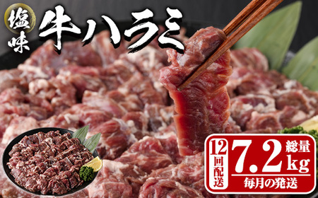 ցES12 (̔) n~(7.2kg)     n~ ͂ t ē  BBQ Ⓚ 啪 syDH326zylNTz