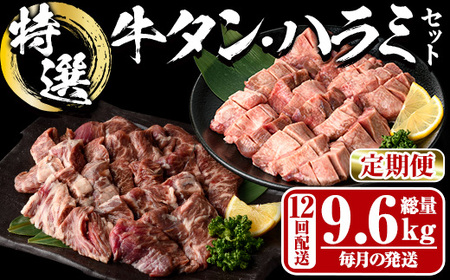 ցES12 (̔) I ^ E n~ Zbg (9.6kg)     ^  n~ ͂ lߍ킹 t ē  BBQ Ⓚ 啪 syDH329zy