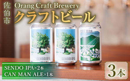 Orang Craft Brewery クラフトビール (3本セット) ビール 地ビール ご当地 酒 パーティー アルコール 家飲み 晩酌 お試し 飲み比べ 銘柄 IPA ブルワリー ブリュワリー 大分県 佐伯市【JM01】【尺間嶽麦酒】