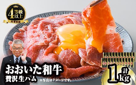 a n (v1kgE50g×20P) Y   n A4 a uh  ܂ 啪 s yFW020zy~[gNXgz