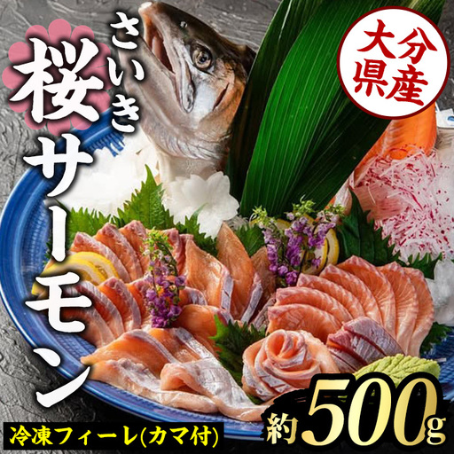 さいき 桜 サーモン フィーレ (1尾分・約500g) 期間限定 冷凍 サクラマス 刺身 ムニエル お味噌汁 お鍋 国産[GP013][高瀬水産]